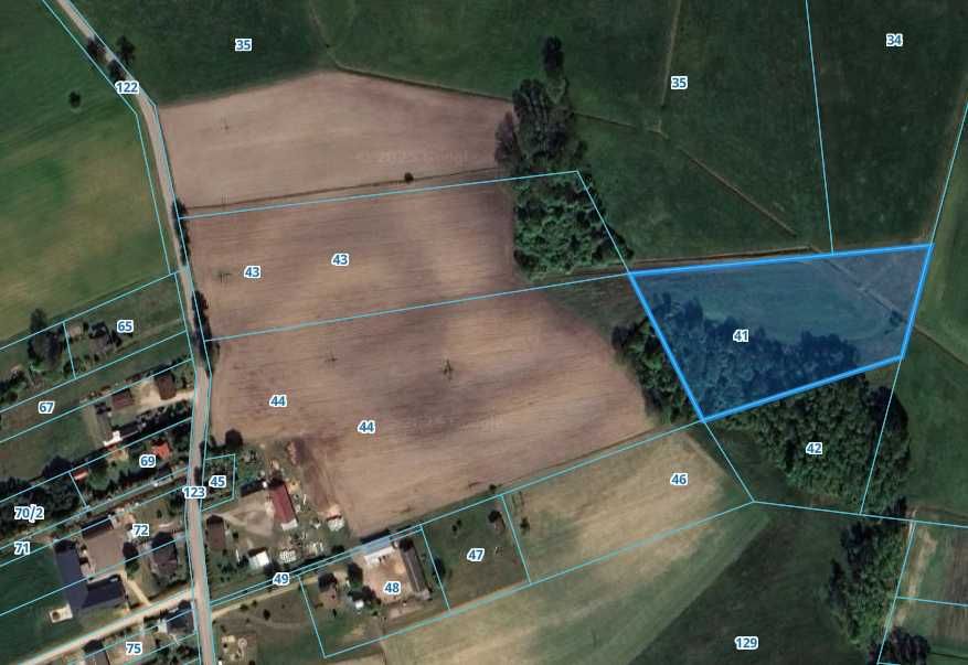 Sprzedam grunty Krajewo Budziły gm. Szumowo