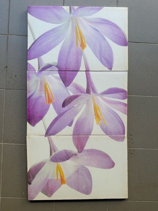 Conjunto de 3 quadros num total de 105x55