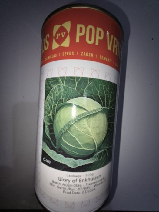 Насіння кормових буряків, червоних буряків, моркви