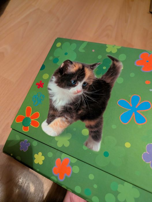 Teczka z rączką / Kuferek A4 zielona z kotkiem