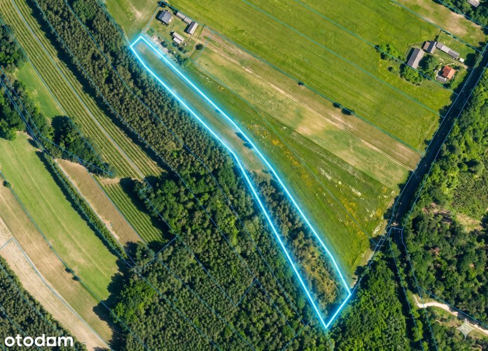 56 arów pod dom + las, razem 1,39 ha