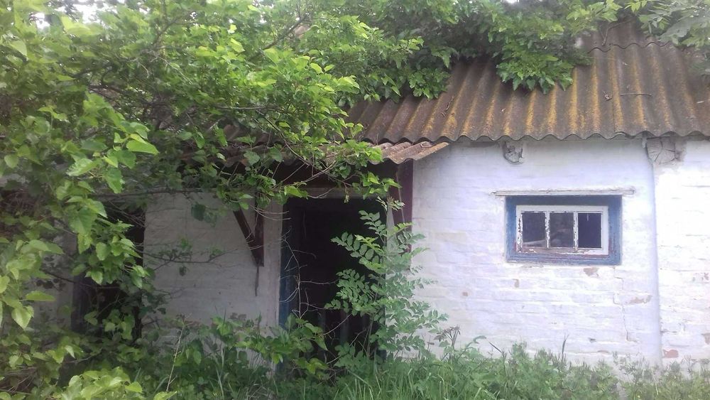 Продам СВІЙ будинок з ділянкою 33 сотки в с. Логвин, Київська область - View 2
