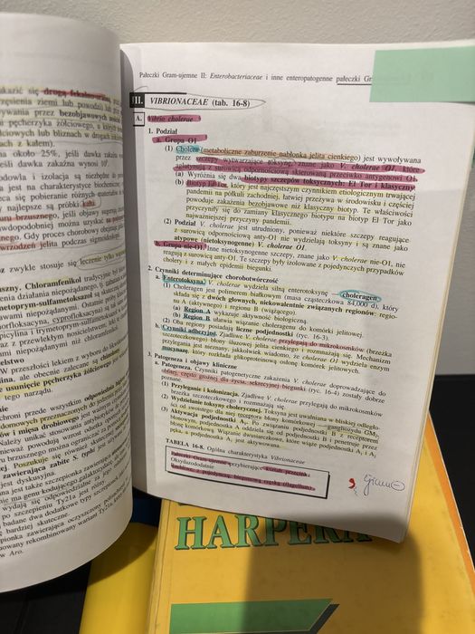 Mikrobiologia i choroby zakaźne. Virella 2000