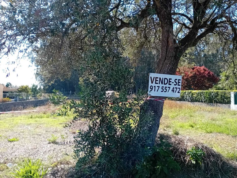 Lote de Terreno