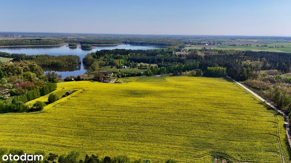 DZIAŁKA Budowlana Nad Jeziorem Stelchno - Widok 2