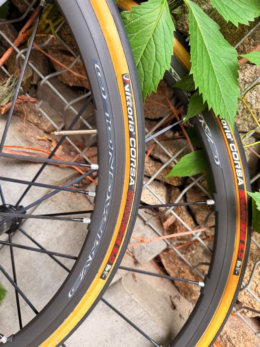 Koła szosowe Campagnolo Shamal Mille C17