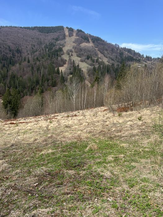 Продам земельну ділянку Славське