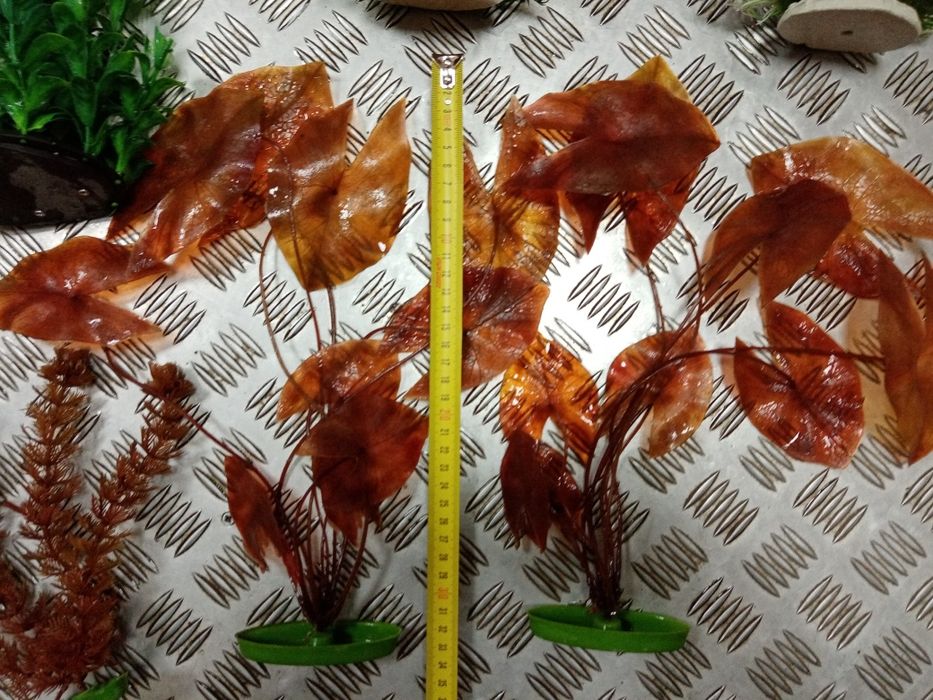 Декорації для акваріума. Рослини. Водорослі.