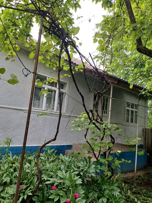Продається господарство в Дністровському районі