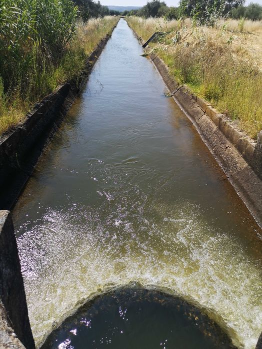 Propriedade em regadio 20 hectares para arrendar / Alugar