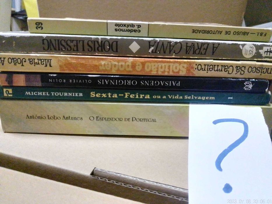 LOTE 16 - LIVROS Diversos - VENDIDOS em SEPARADO - Preços Vários