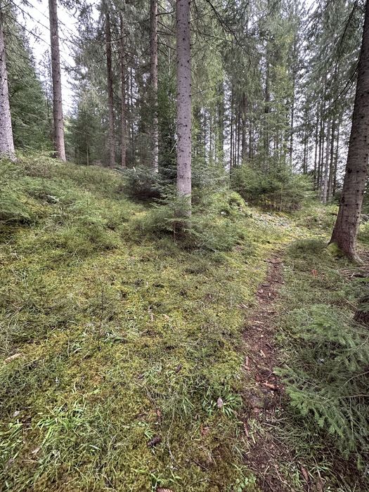 Земельна ділянка с.Яблуниця, переведена під будівництво!