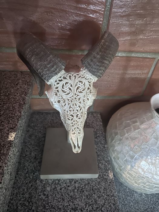 Cabeça de Muflão esculpido à mão