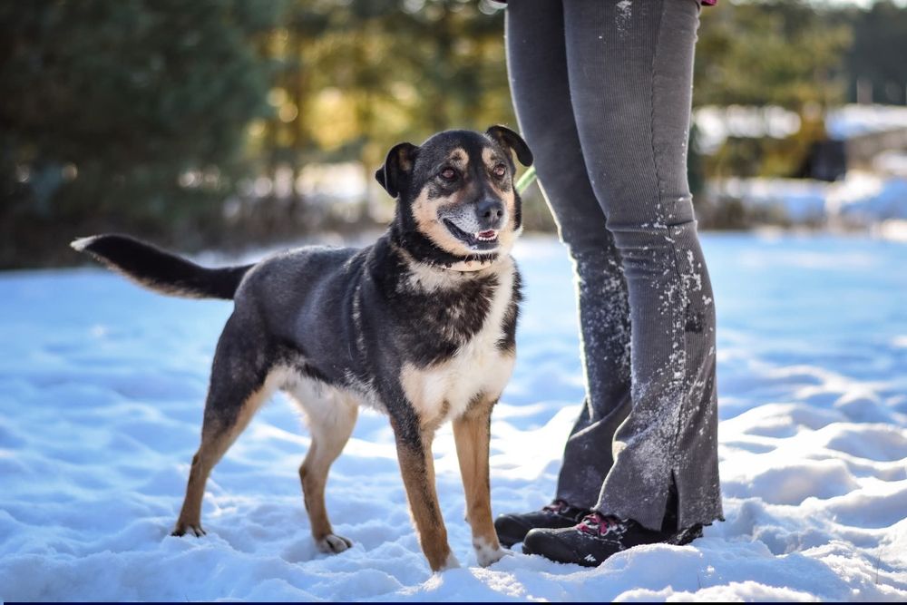 Adoptuj wrażliwego Kacperka