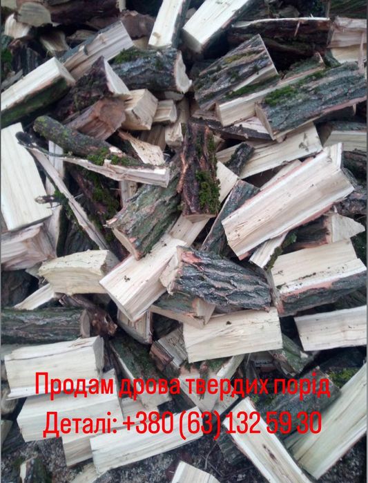 Продам дрова паливні твердих порід