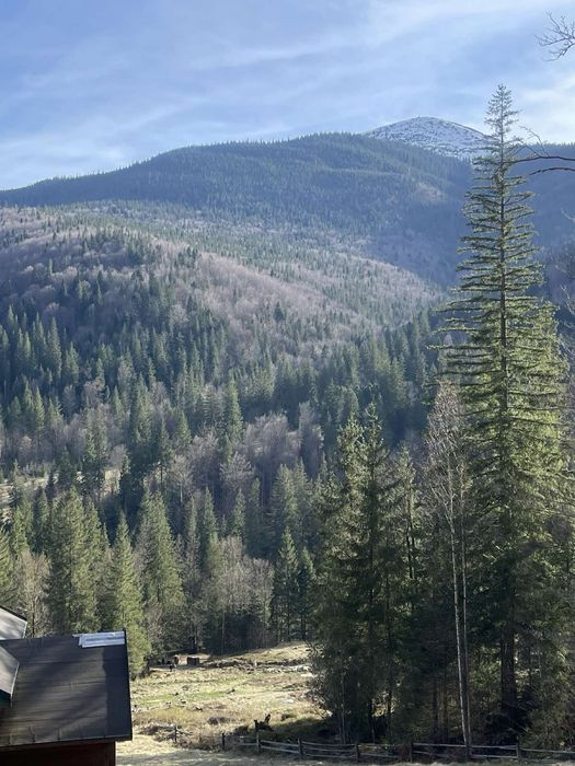 Будинок у Карпатах з банею та каміном "Перлина Прикарпаття"