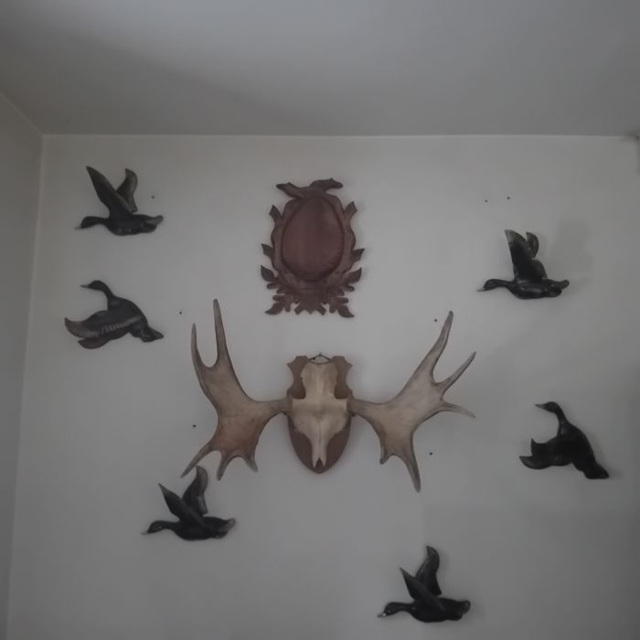 XX w Kaczki z Porcelany do Powieszenia na Ścianę Cudo !!!