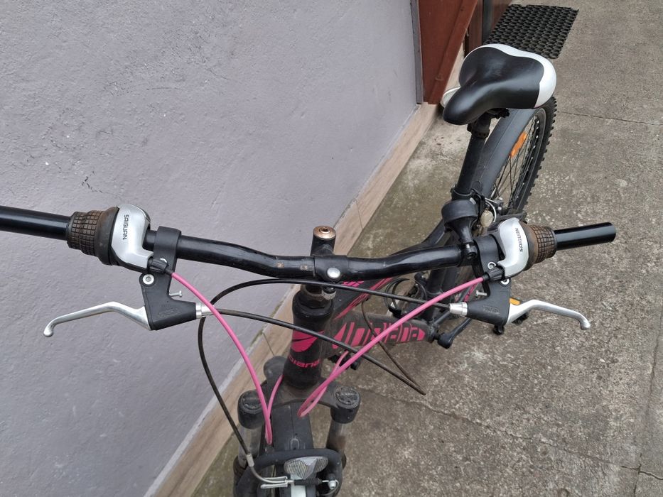Rower Mtb/gorski.