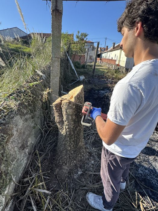 Serviços de jardinagem / Limpeza de terrenos