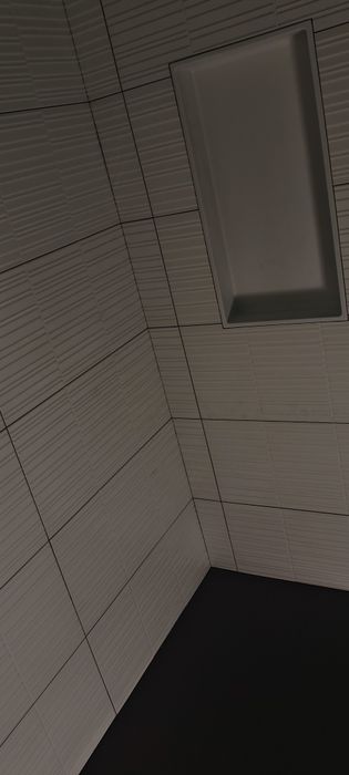 Ladrilhador profissional