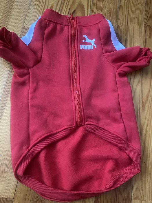 Собачий комбез