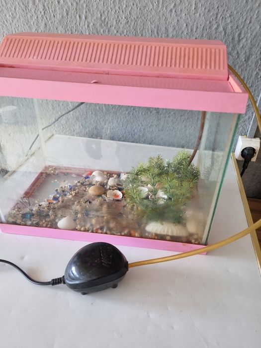 Aquário  pequeno