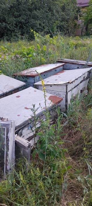 Продам улики без блжіл