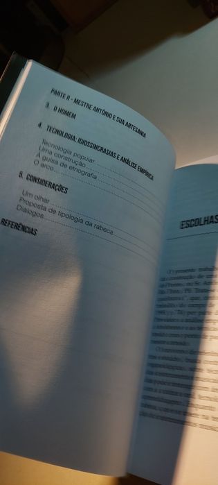 A Construção da Rabeca, Idiossincrasias de Mestre Antonio Merengue - João Nicodemos de Araújo Neto