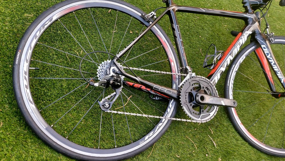 Olympia carbono t54