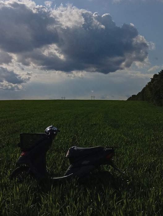 Скутер honda dio cesta
