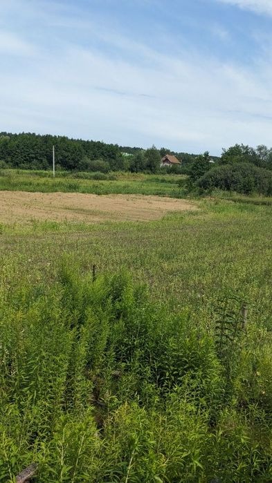 Земельна ділянка 20 сотих пі забудову Суховоля