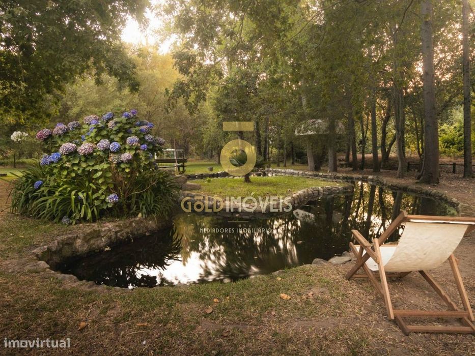 Terreno Rústico  Venda em Pinheiro da Bemposta, Travanca e Palmaz,Oliv
