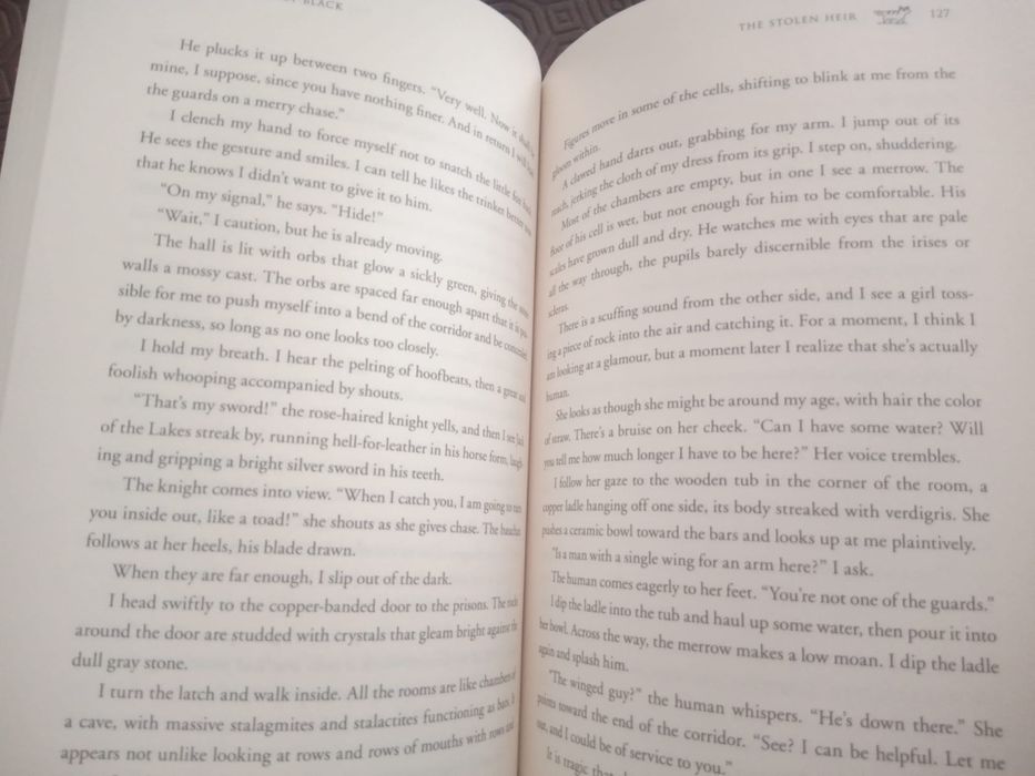 Livro "Theo Stolen Heir"