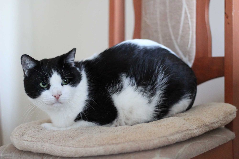 Izydor jest już gotowy na podróż życia, może właśnie z Tobą?