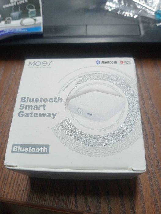 Cofre de Chaves Inteligente Tuya + Gateway MOES (Combo Wi-Fi) – NOVO