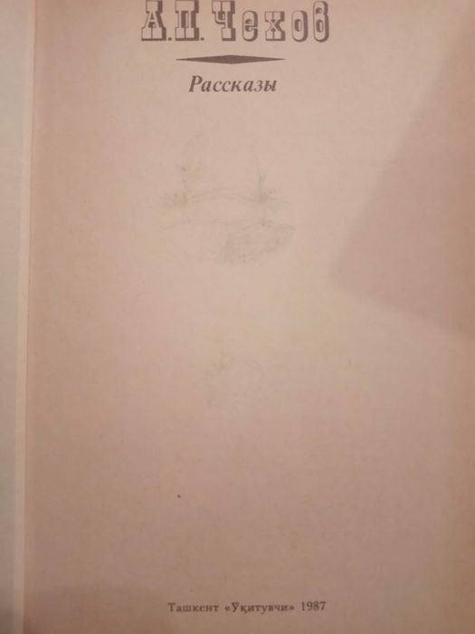 Книга А.П.Чехов-РАССКАЗЫ.ОЛХ доставки нет!