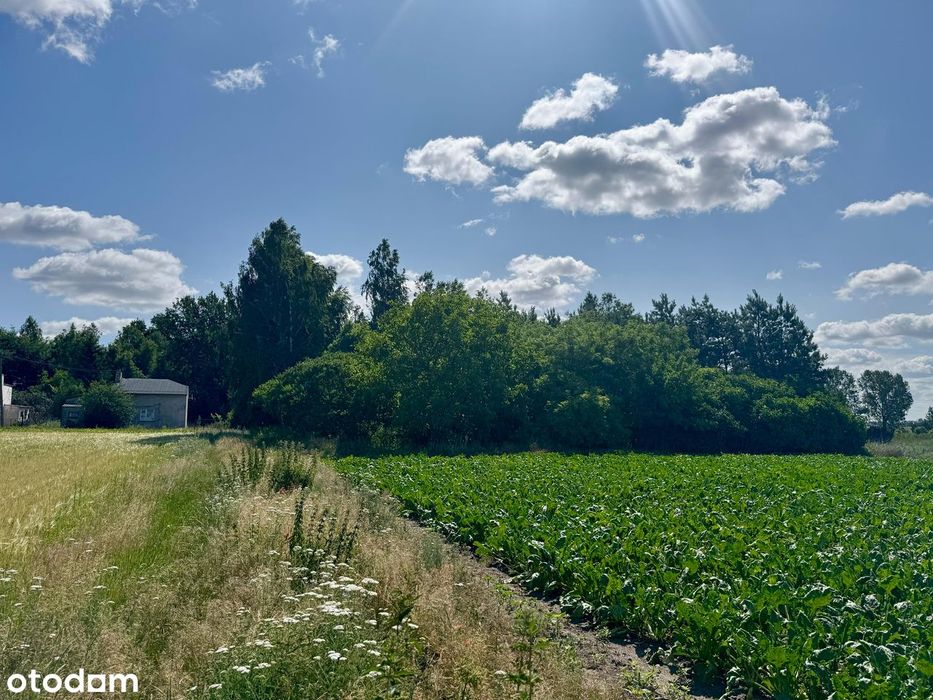 Dwie działki w cenie jednej!  732 m2  + 1300 m2