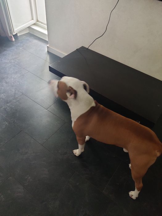 Вязка для здоровья