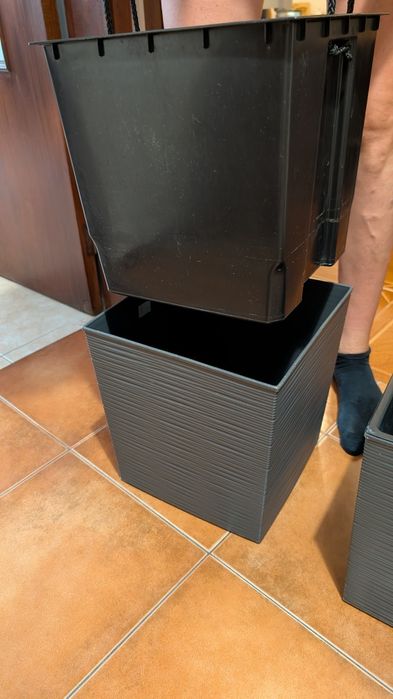 Vasos de plantas