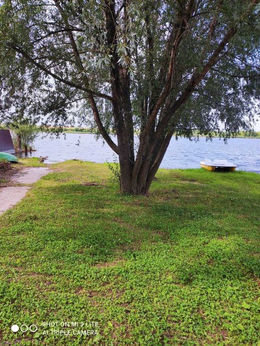 Сдам дом в аренду