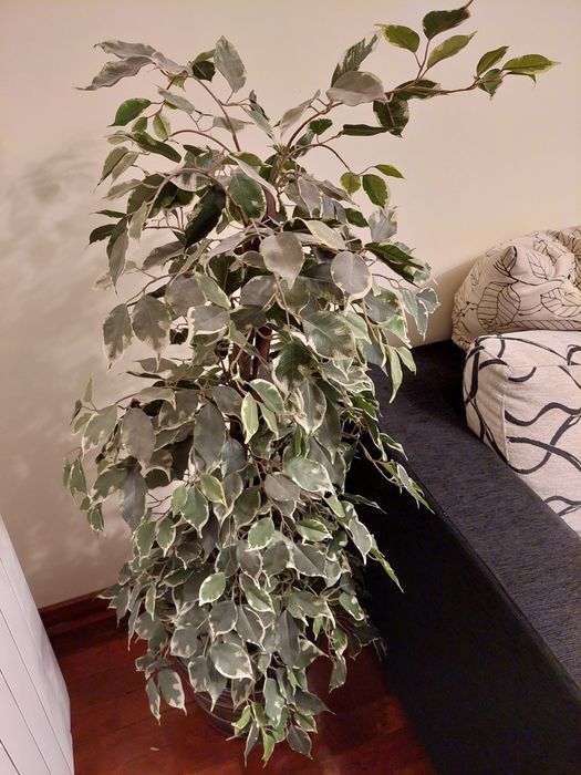 Vaso grande com planta artificial