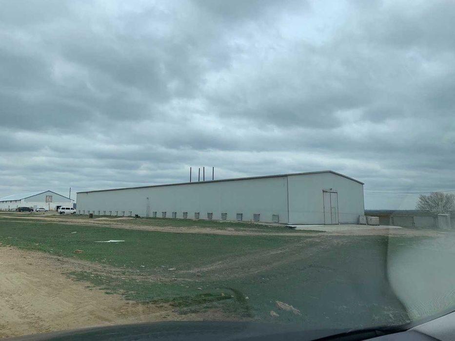 Птахофабрика на півдні Одеської області