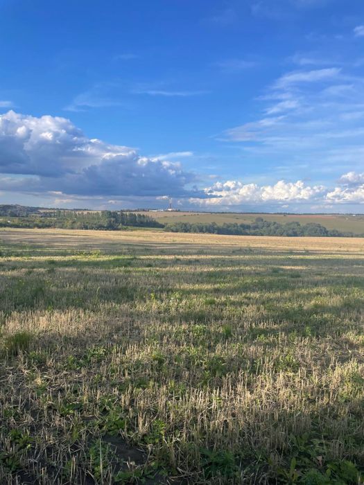 Оренда земельної ділянки