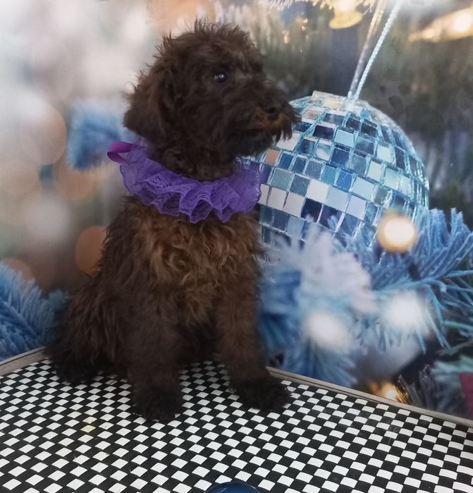 Очень яркий мальчишка