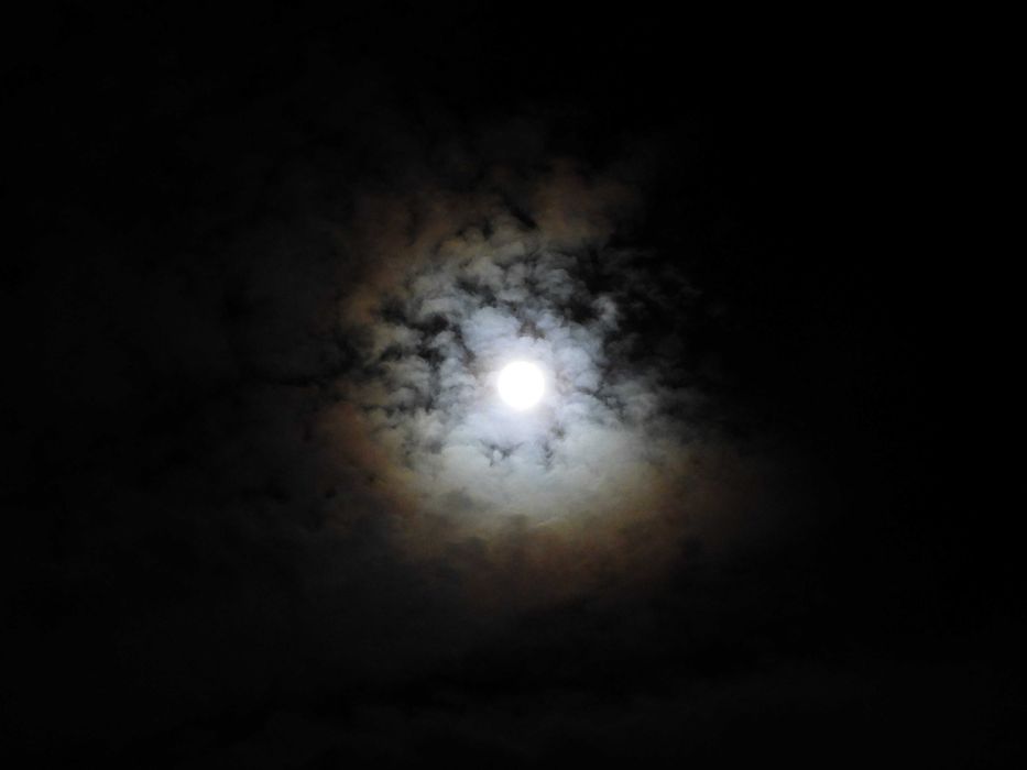 Nikon COOLPIX P1100