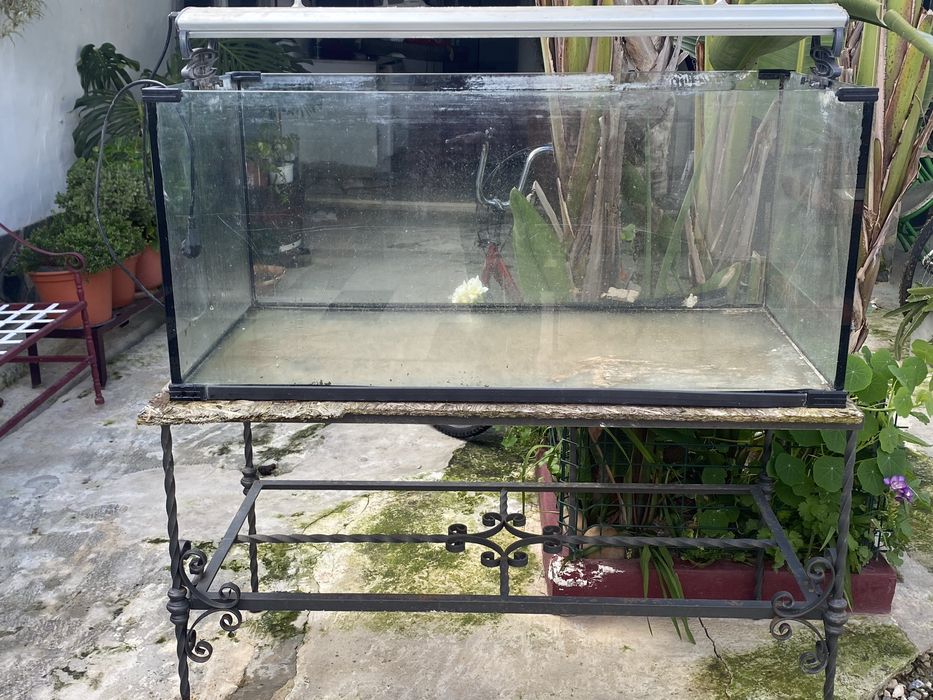 Aquario de 400 litros para desocupar