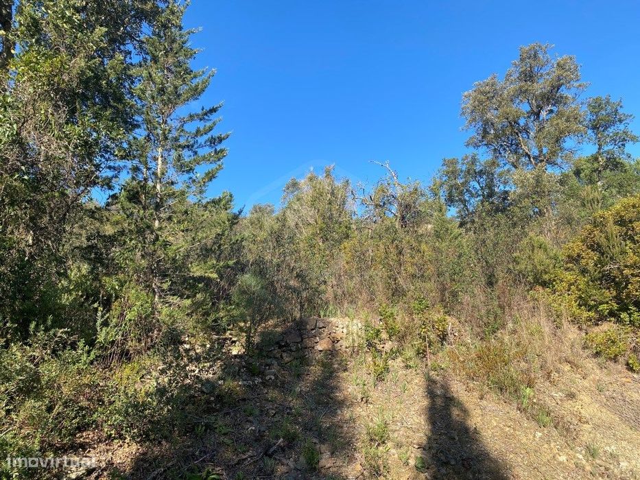 Lote de terreno rústico com 4.750m2, Loulé, Algarve — Salir, Faro