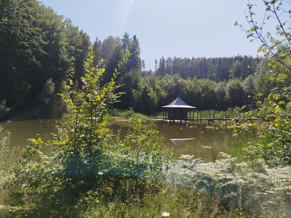 Будинок, котедж, база відпочинку, стави, озера, рибальство, Карпати