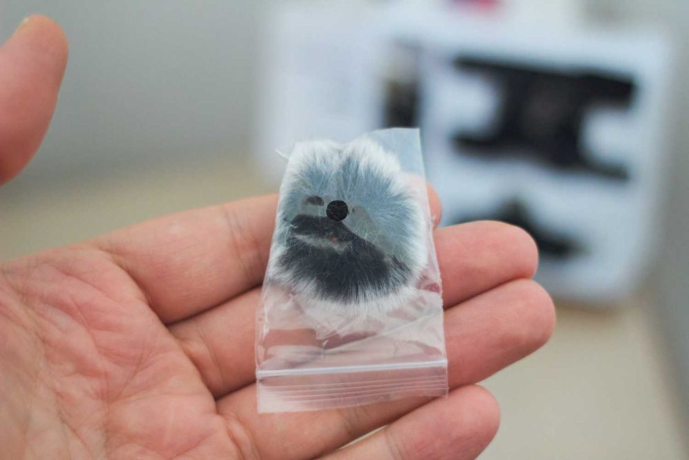 Kit 2 Microfones Lapela Wireless 2.4G p iPhone e Android