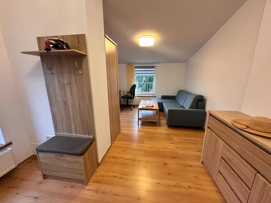 Apartment in Toruń, Przedmieście Świętej Katarzyny, Stare Miasto - More